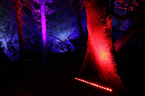 Illumina   036.jpg